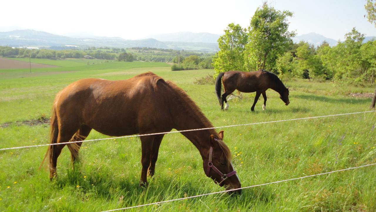 Chambre D'Hotes Le Jas Des Sagnieres Sigoyer  ภายนอก รูปภาพ